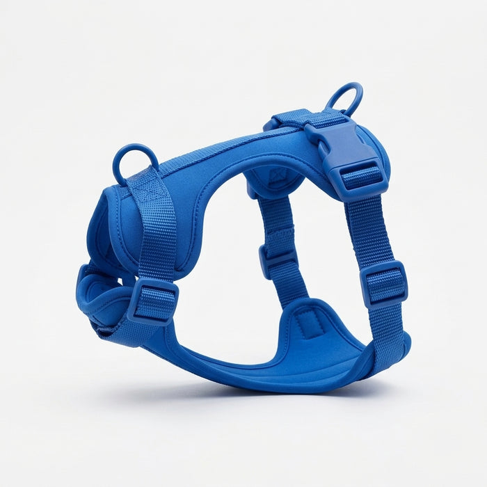 Royal Blue Comfort Fit harness for Pekingese