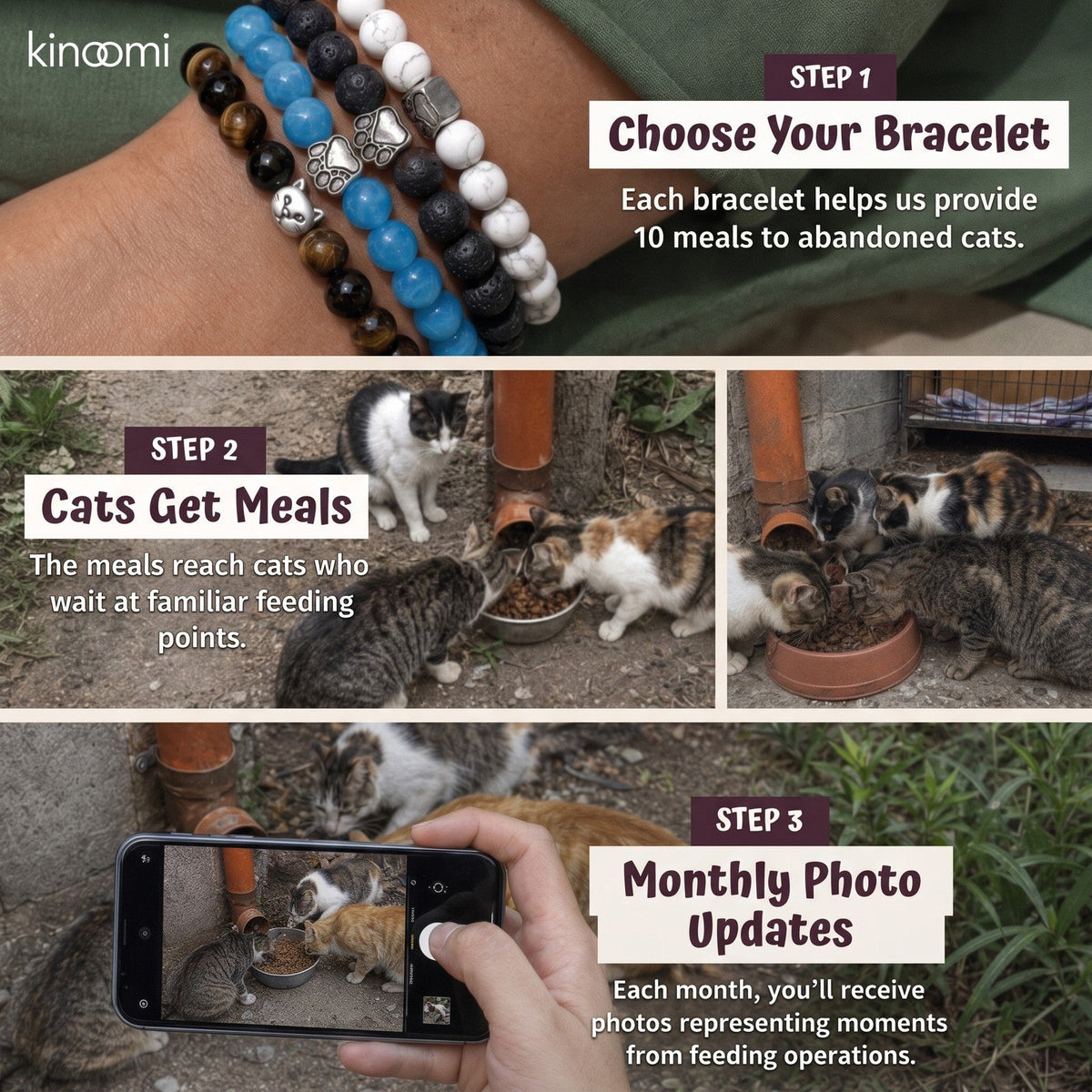 3 steps: choose your bracelet, cats get meals, monthly photo updates