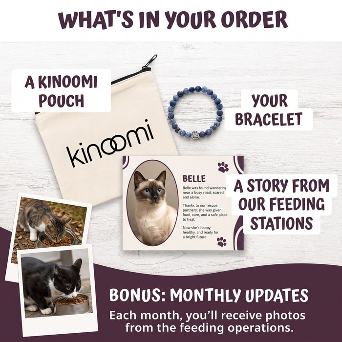 What's in your order: pouch, bracelet, story card, monthly updates