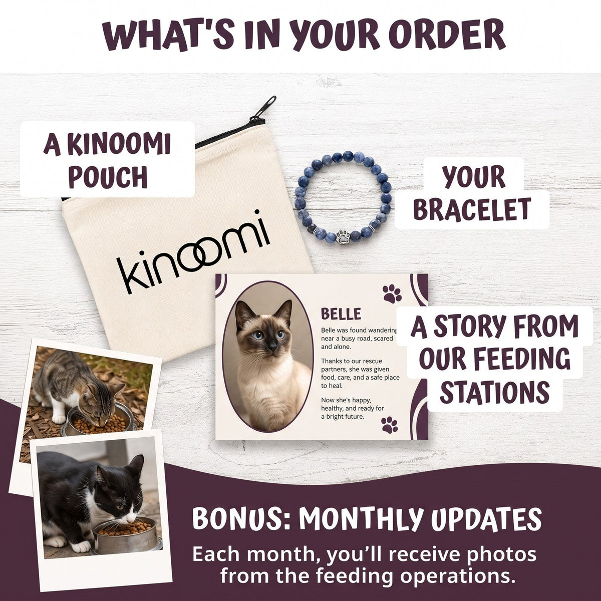 What's in your order: pouch, bracelet, story card, monthly updates
